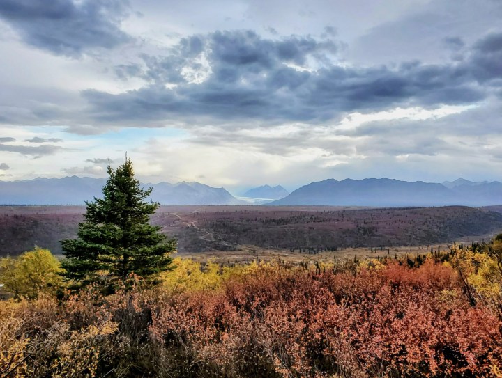 Faraway glacier nestled between mountains in Alaska with red and gold shrubs